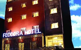 Hotel Feodora Grogol